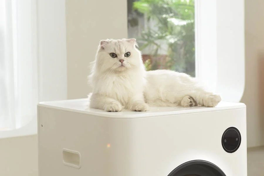 automatic catbox